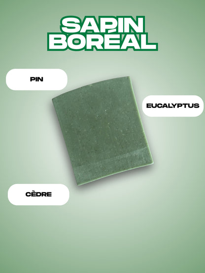 Sapin Boréal